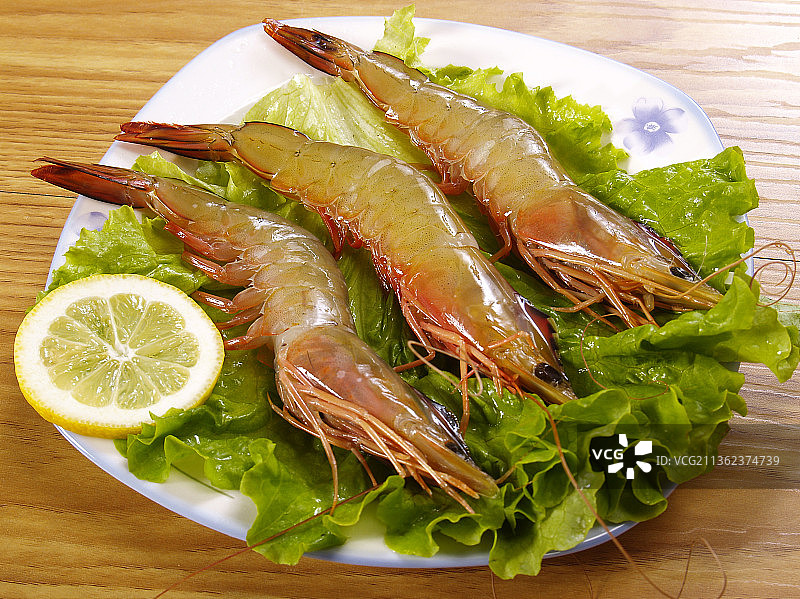 大海虾图片素材