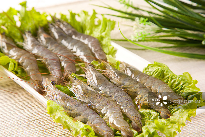 大青虾图片素材