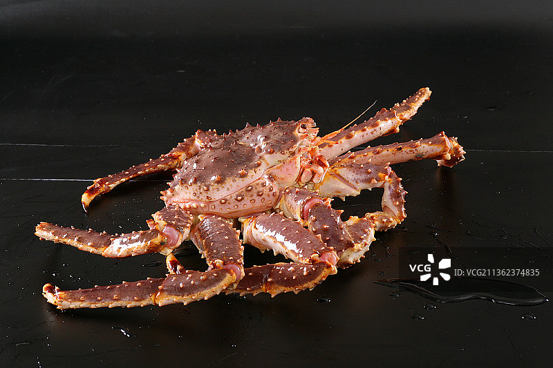 鲜活的帝王蟹图片素材