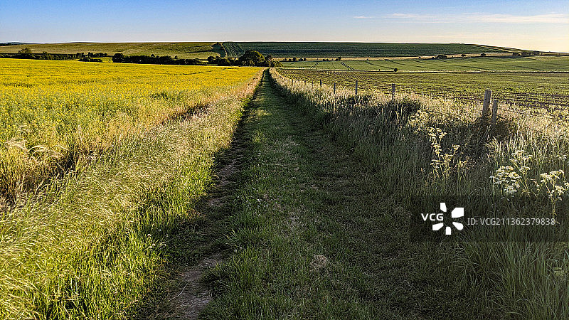 田野中的小路，英国科茨沃尔德的田园风光图片素材