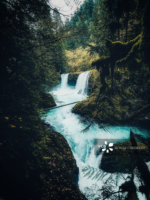 森林瀑布风景，美国俄勒冈州特劳特代尔图片素材