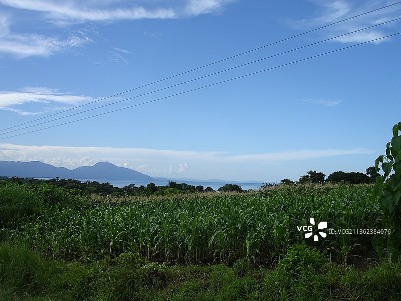 马拉维天空下的田野美景图片素材
