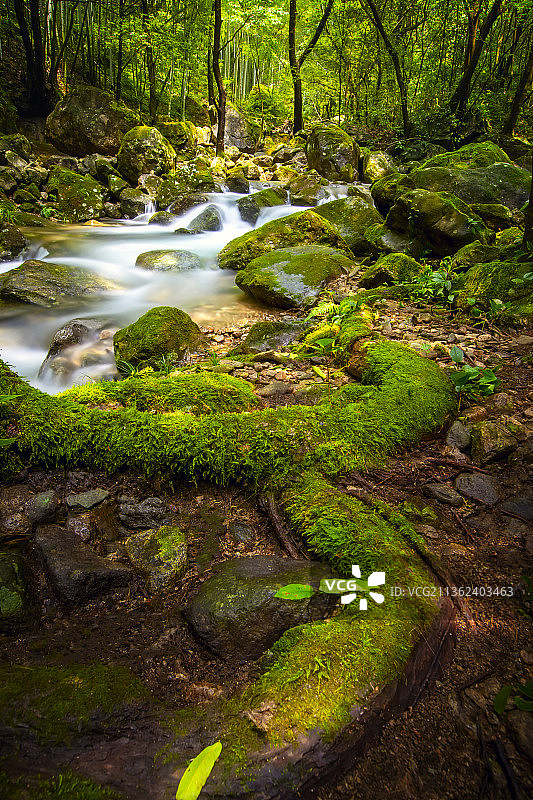 十里桃花溪图片素材