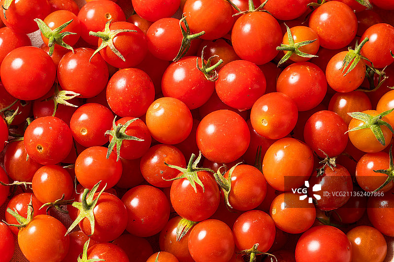 生机有机圣女果全画幅特写图片素材