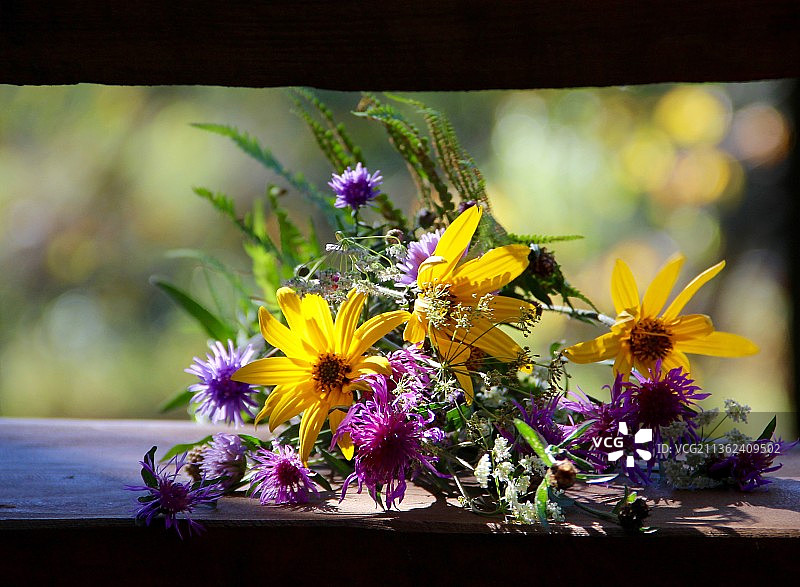 木桌上的花朵特写，俄罗斯奥博尔苏诺沃图片素材