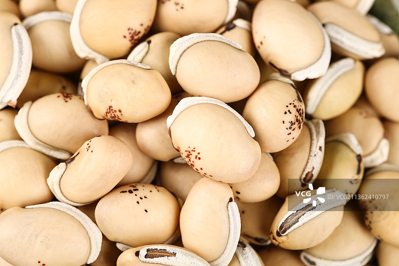 一堆云南白扁豆图片素材