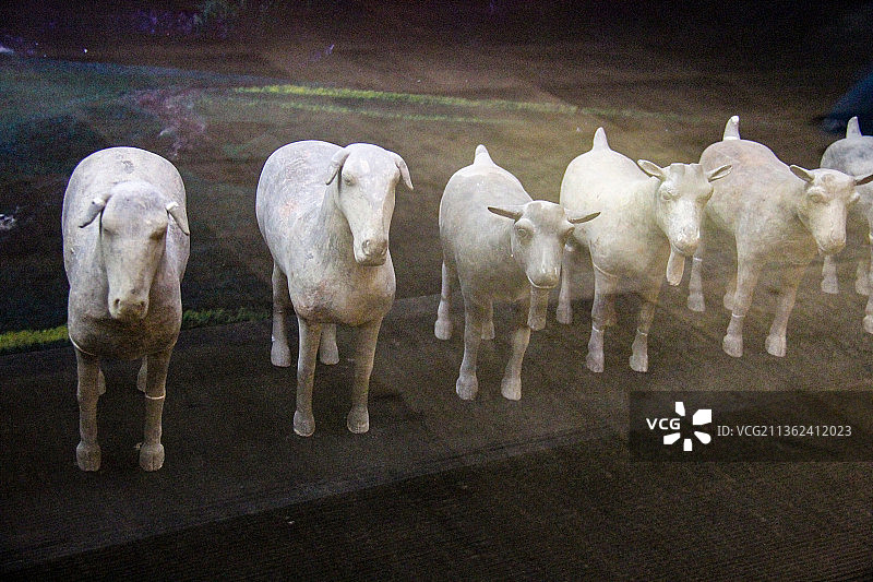 陕西咸阳汉阳陵——帝陵外藏坑展示厅：陶羊图片素材