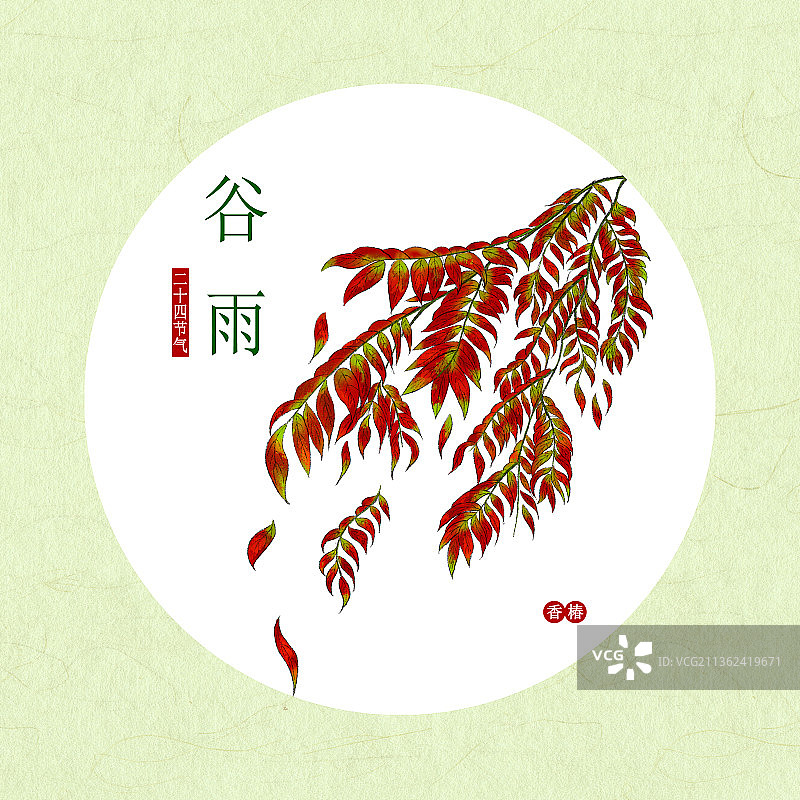 谷雨图片素材