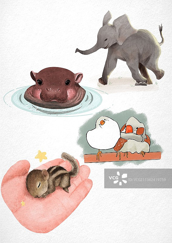 小动物图片素材