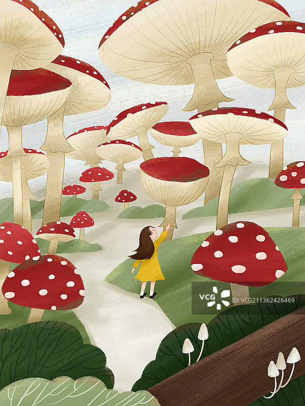 蘑菇森林图片素材