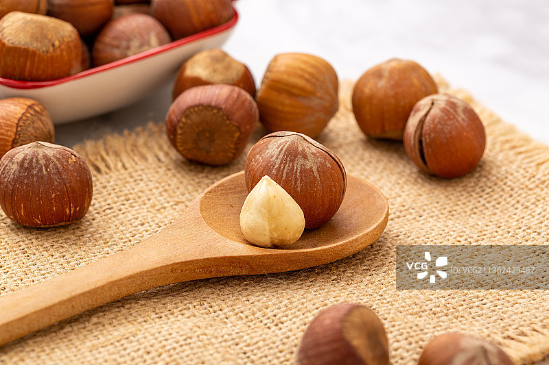 东北开口大榛子图片素材