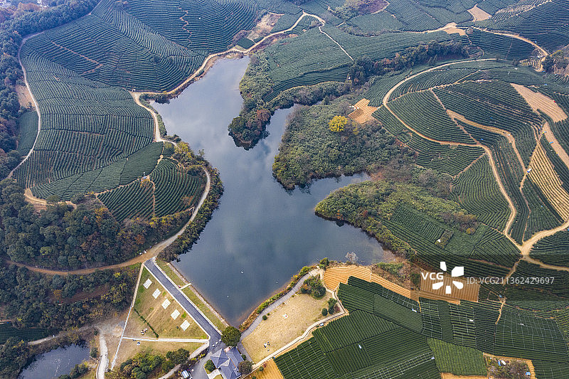 杭州龙坞镇西山森林公园图片素材