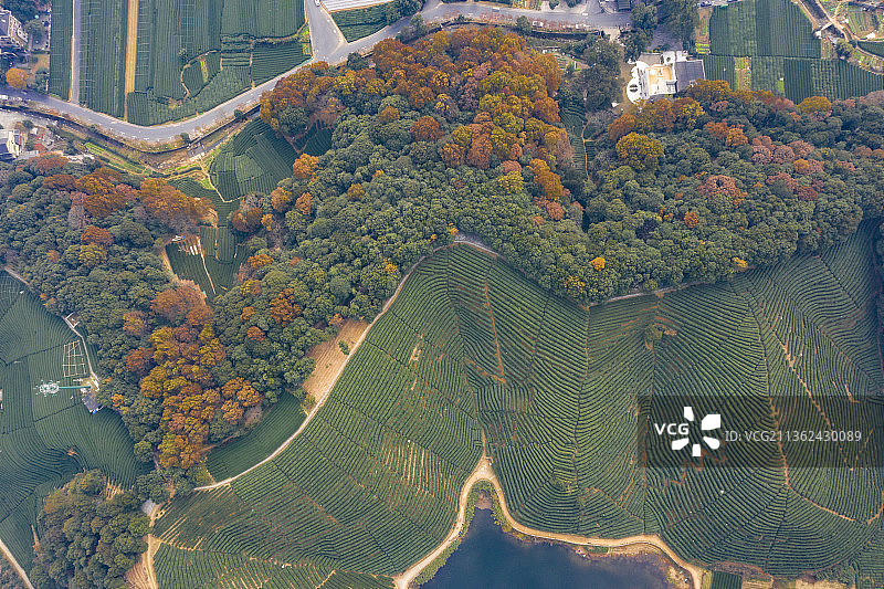 杭州龙坞镇西山森林公园图片素材