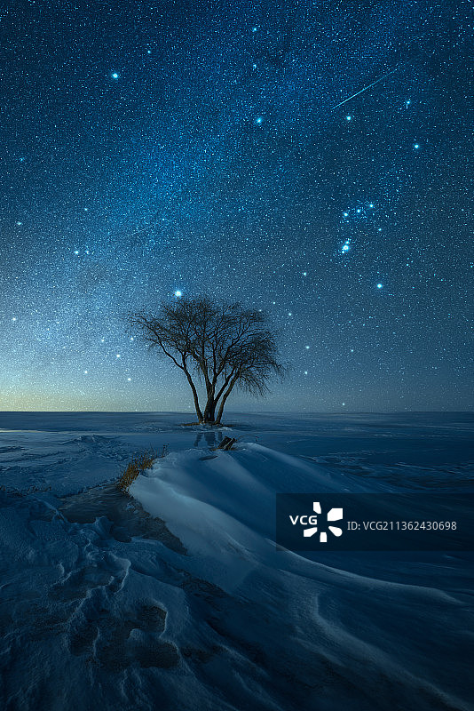 冰雪独树冬季星空图片素材