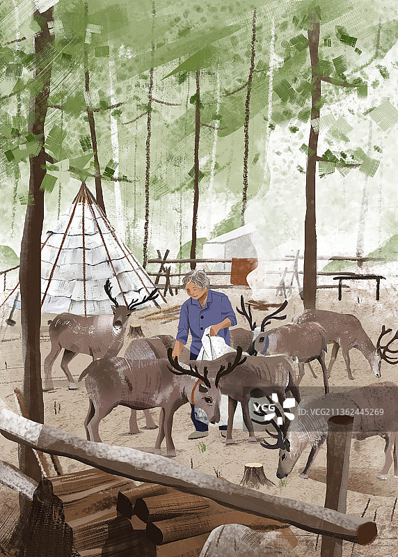 驯鹿生活图片素材