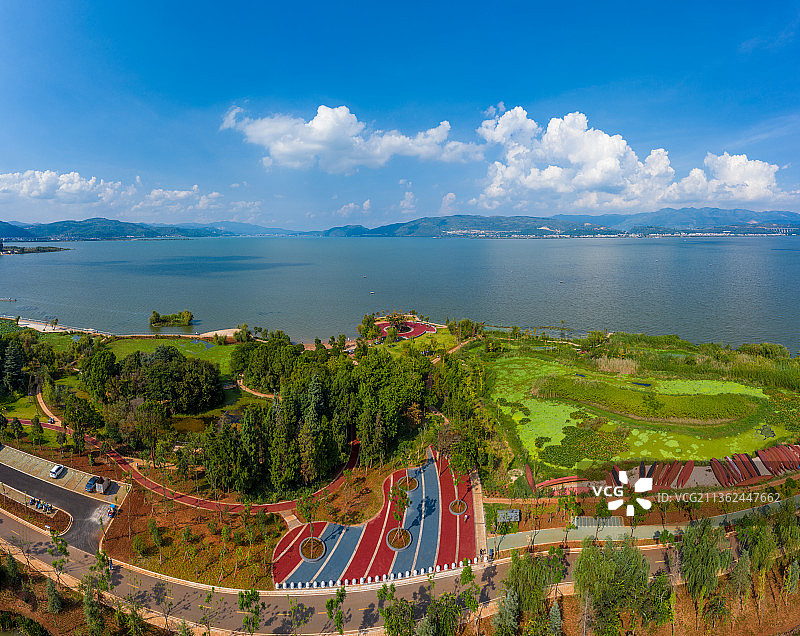 云南省玉溪市江川区星云湖粉黛湿地公园图片素材