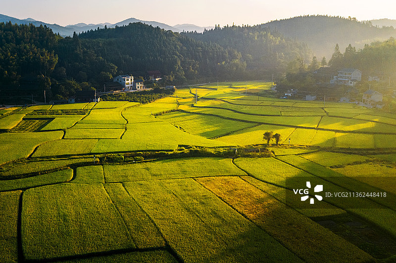 金秋之晨图片素材