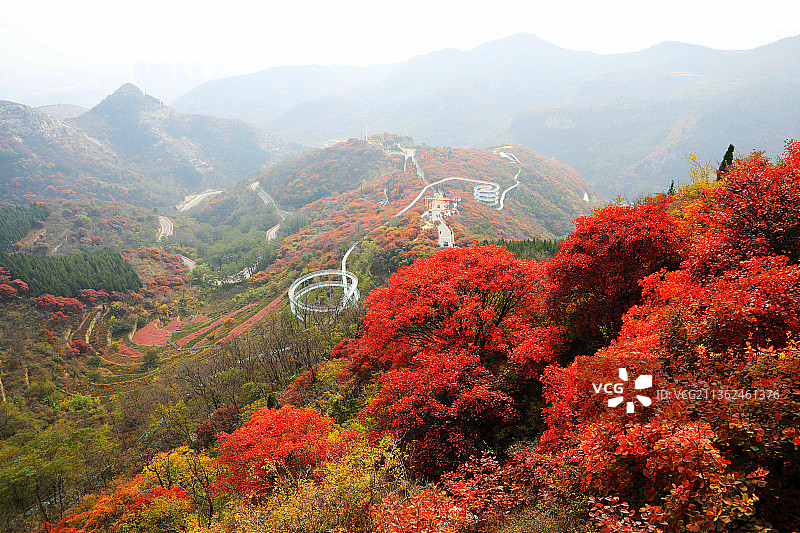 山东淄博红叶柿岩风景区图片素材