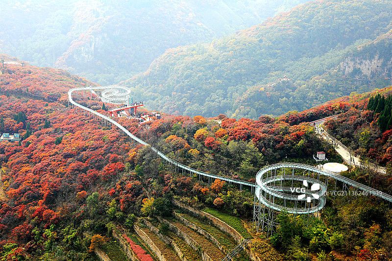 山东淄博红叶柿岩风景区图片素材