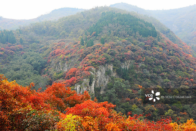 山东淄博红叶柿岩风景区图片素材