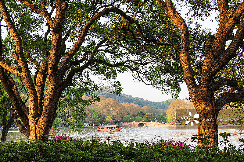 杭州西湖苏堤春晓图片素材