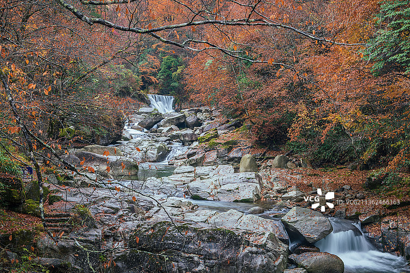 光雾山红叶图片素材