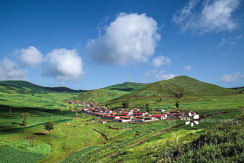 塞北林场图片素材