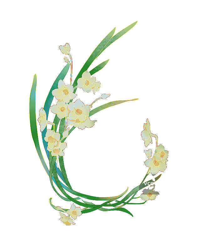 水仙花圆环图片素材