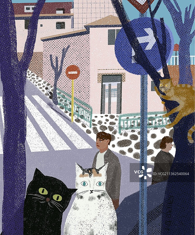 猫的他图片素材