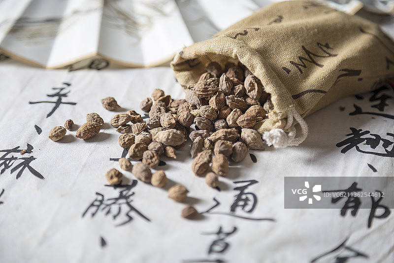 中国古风背景的中药益智仁特写图片素材