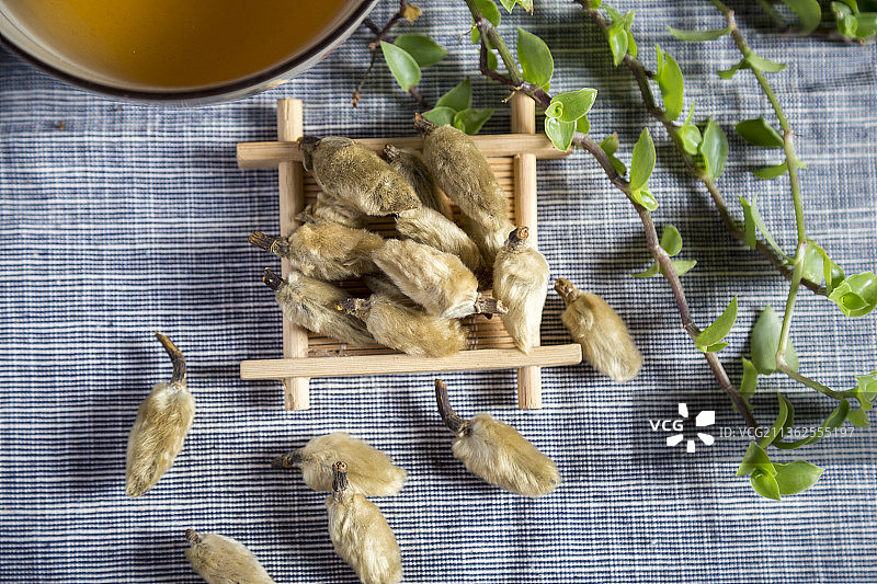 中国古风背景的中药辛夷特写图片素材