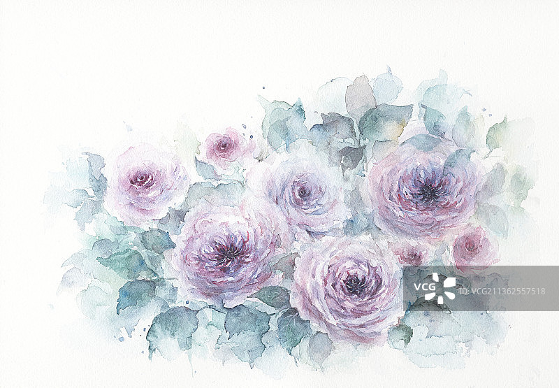 水彩手绘雾蓝色蔷薇欧月花卉图片素材