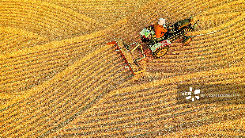 大地金曲图片素材