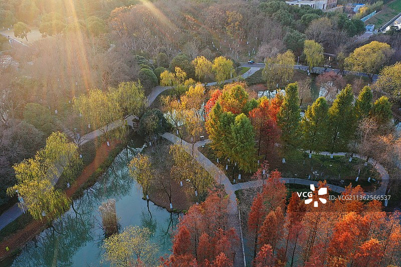 航拍青枫公园图片素材