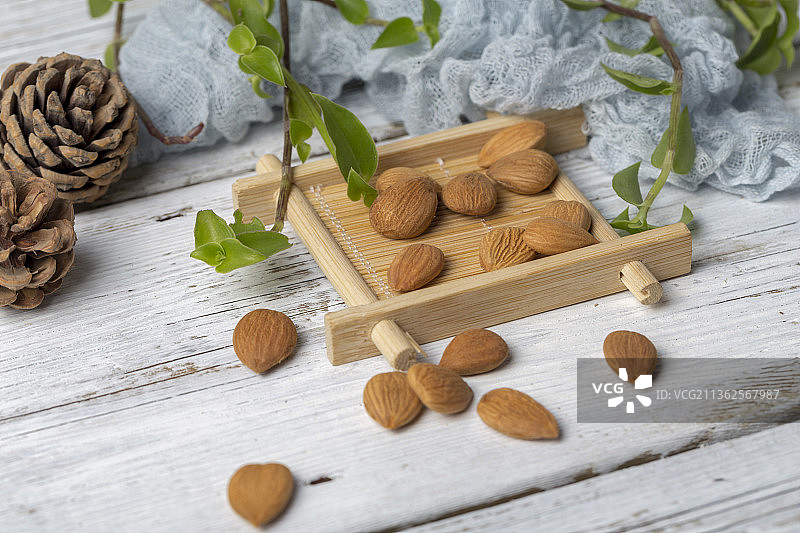 中国古风背景的中药桃仁特写图片素材