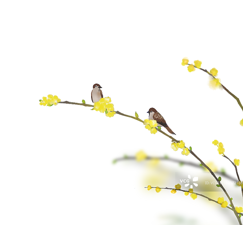 迎春花麻雀素材图片素材