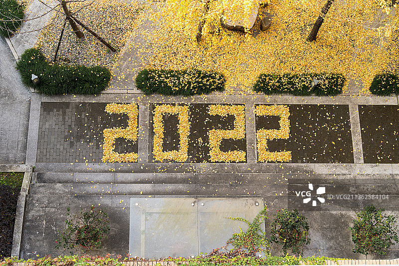 银杏叶摆成的2022数字图片素材