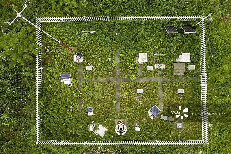 杭州临平区塘栖镇枇杷湾生态园图片素材