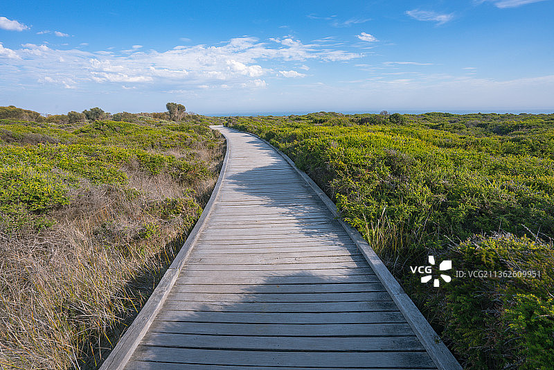 澳大利亚大洋路十二门徒自然风光图片素材