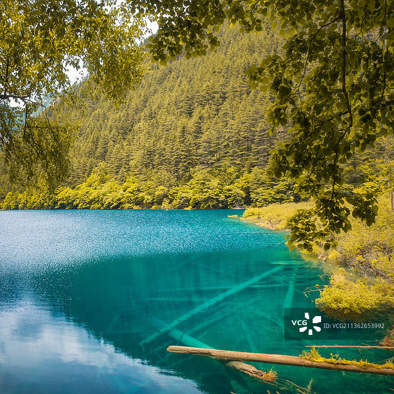 中国四川省九寨沟自然风光图片素材