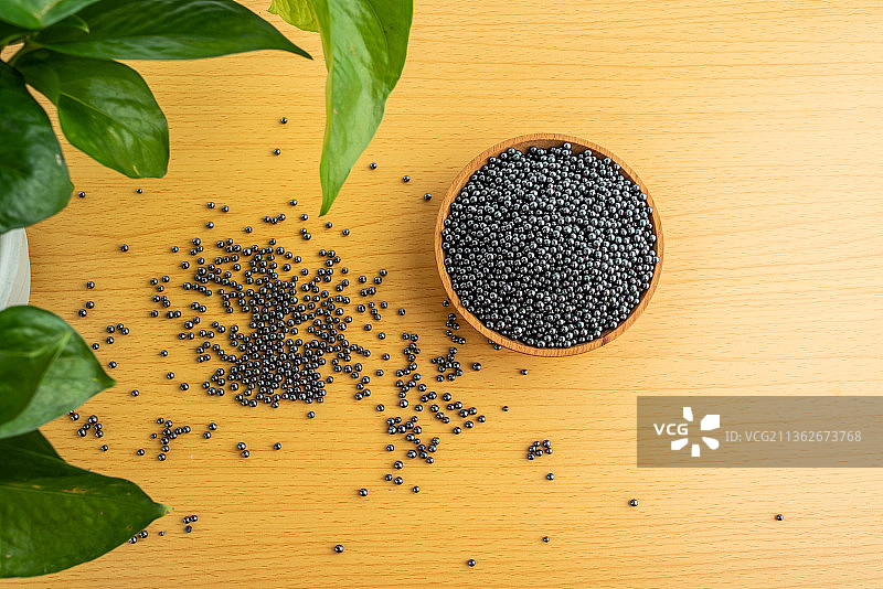 新房净化空气的绿萝和纳米矿晶活性炭图片素材