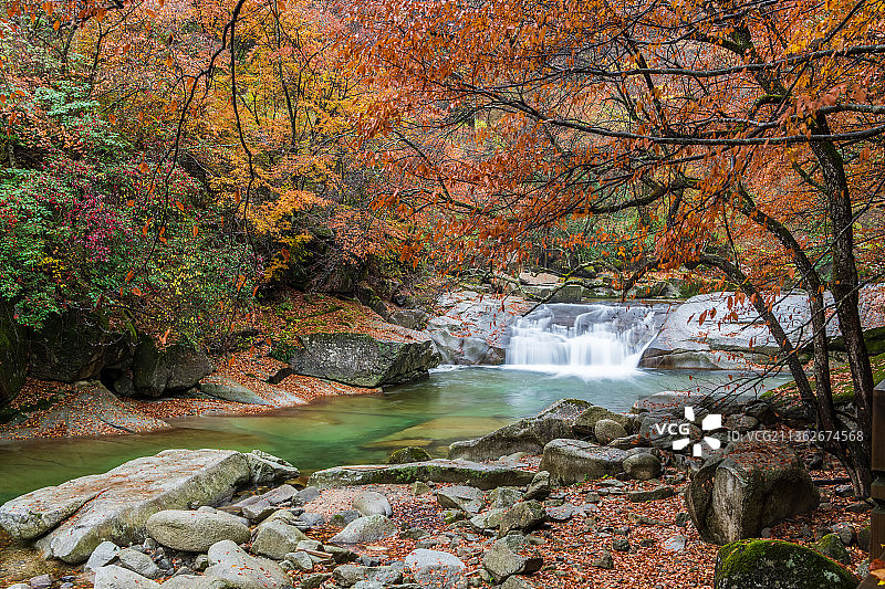 光雾山红叶图片素材