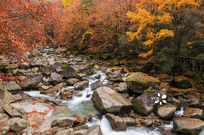 光雾山红叶图片素材
