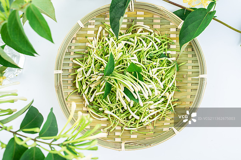 白背景上竹筛子装满新鲜金银花苞图片素材