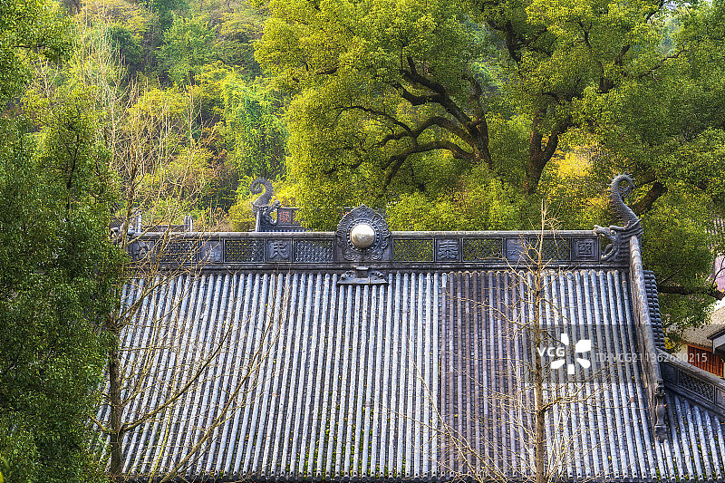 杭州三天竺法镜寺秋季风光图片素材