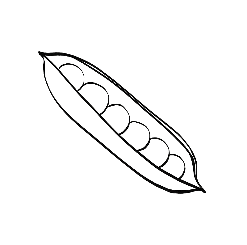 黑白线描风格水果蔬菜插画元素图片素材