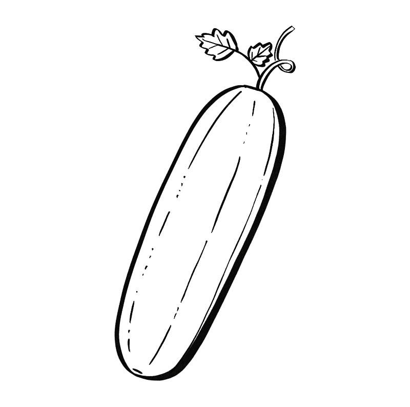 黑白线描风格水果蔬菜插画元素图片素材