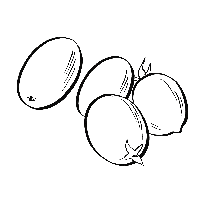 黑白线描风格水果蔬菜插画元素图片素材