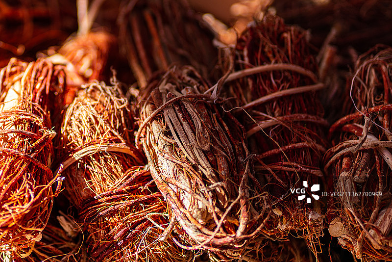 五指毛桃树根特写图片素材