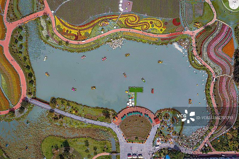 江苏省盐城市大丰市荷兰花海景区图片素材